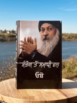 Sambhog to samadhi val || ਸੰਭੋਗ ਤੋਂ ਸਮਾਧੀ ਵਲ || osho