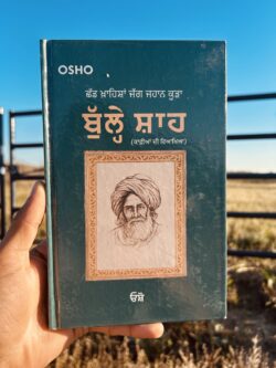 Bulleh shah kaafiya di viakhiya॥ ਬੁੱਲ੍ਹੇ ਸ਼ਾਹ